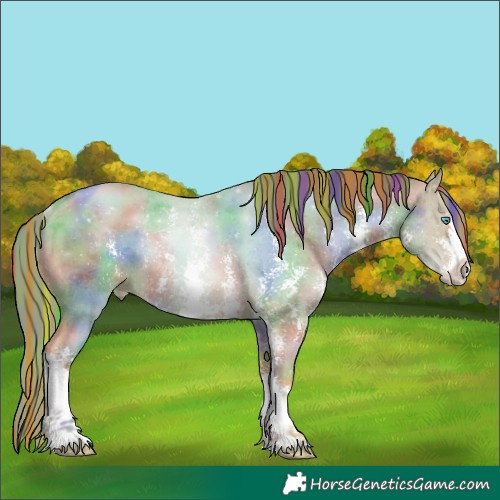 Horse Color:Painted Nacre Buckskin Pearl Sabino Rabicano 