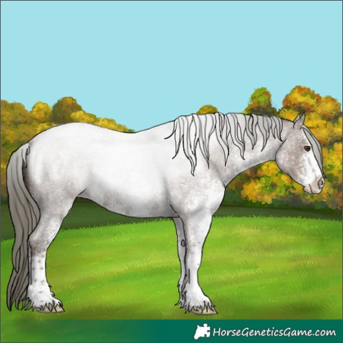 Horse Color:White Spotted Liver Red Dun Roan Mushroom