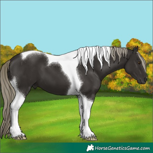 Horse Color:Liver Chestnut Mushroom Tobiano 