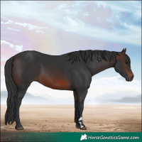 Horse Color:Brown 