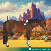 Horse Color:Bay Tobiano Rabicano 
