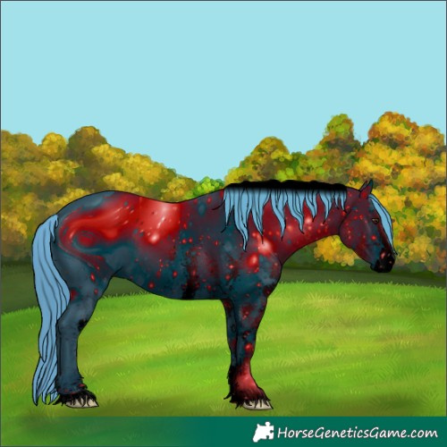 Horse Color:ERROR: UNKNOWN ANOMALY
