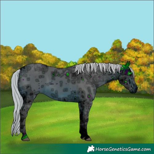 Horse Color:ERROR: UNKNOWN ANOMALY