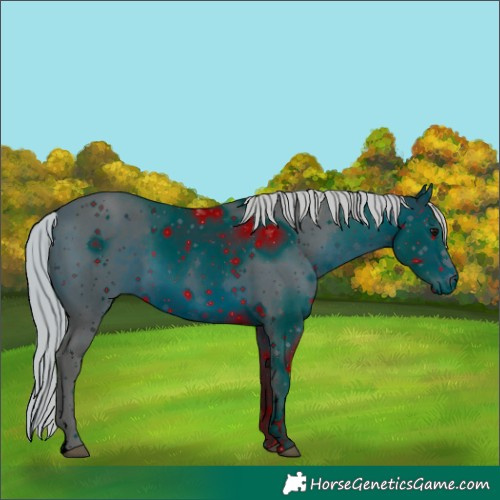 Horse Color:ERROR: UNKNOWN ANOMALY