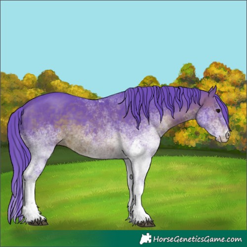 Horse Color:Watercolor White Spotted Brown Rabicano 