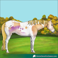 Horse Color:Painted Silver Buckskin Onyx Tobiano 