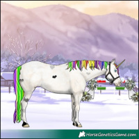 Horse Color:Void Painted Palomino Ice Pearl