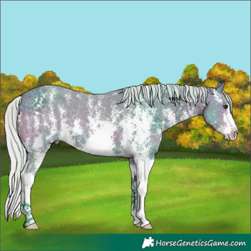 Horse Color:Watercolor Silver Bay Sabino 