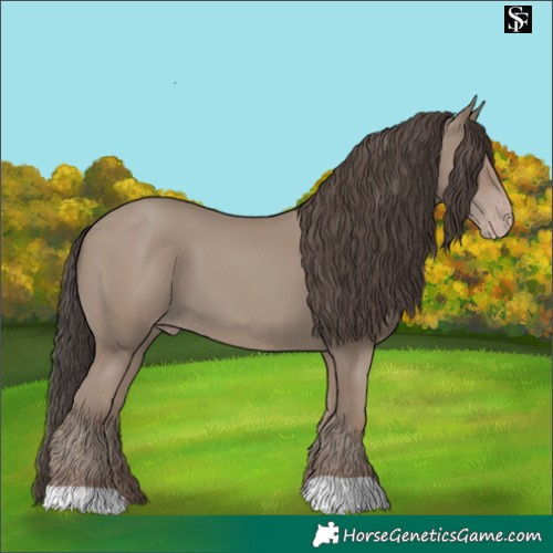 Horse Color:Classic Champagne 
