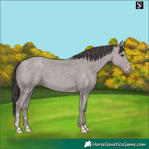 Horse Color:Platinum Classic Champagne 