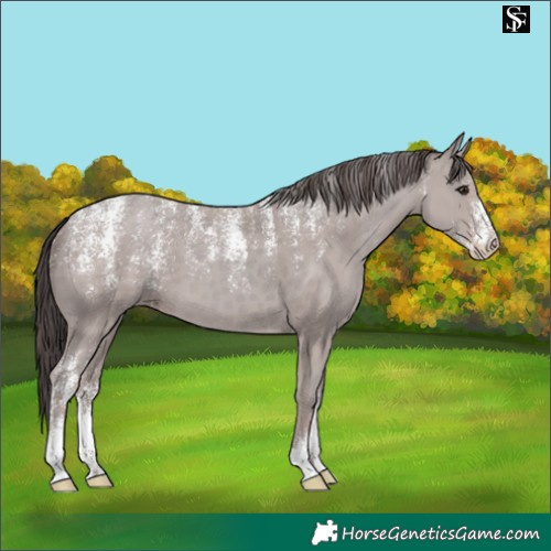 Horse Color:Powder White Platinum Classic Champagne 