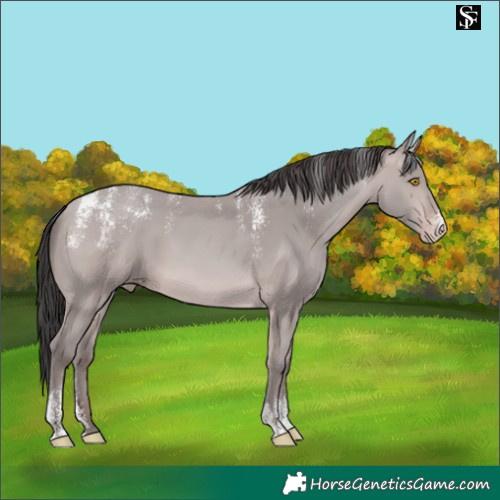 Horse Color:Powder White Platinum Sable Champagne 