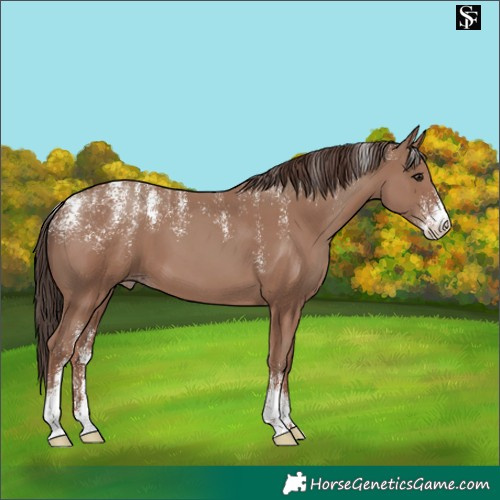 Horse Color:Powder White Classic Champagne