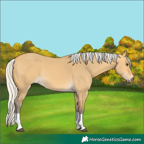 Horse Color:Silver Buckskin Dun Tobiano 