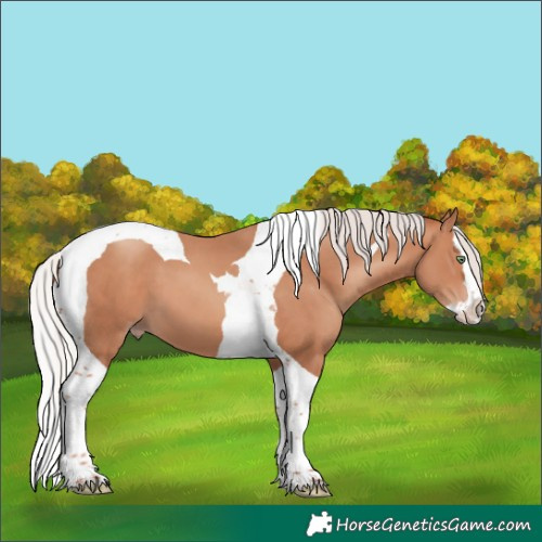 Horse Color:Silver Amber Champagne Splash Tobiano