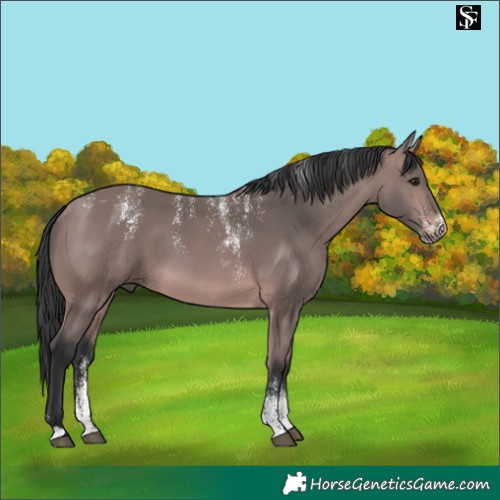 Horse Color:Powder White Platinum Bay 