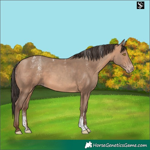 Horse Color:Powder White Amber Champagne 