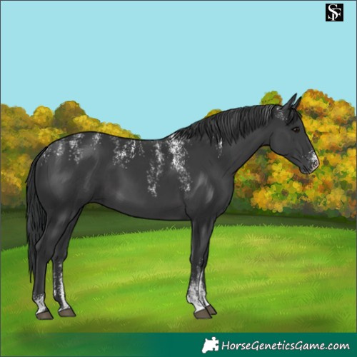 Horse Color:Powder White Platinum Black
