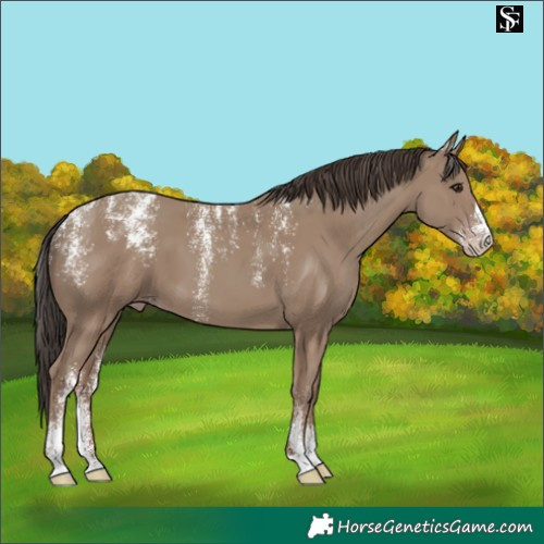Horse Color:Powder White Classic Champagne