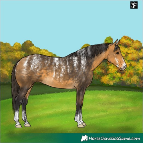 Horse Color:Powder White Buckskin 