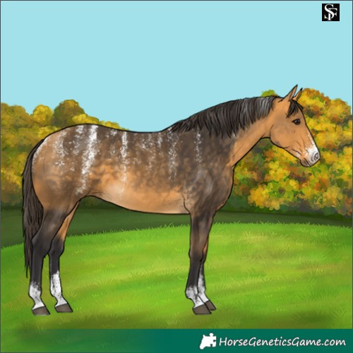 Horse Color:Powder White Buckskin 