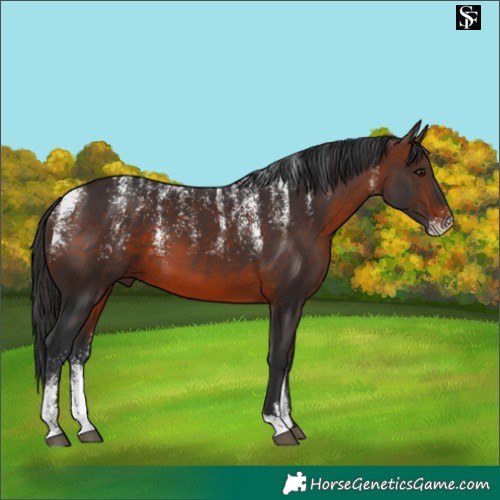 Horse Color:Powder White Brown 