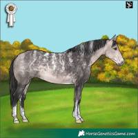 Horse Color:Powder White Platinum Buckskin 