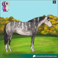 Horse Color:Powder White Platinum Buckskin