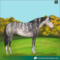 Horse Color:Powder White Platinum Buckskin 