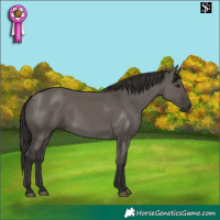 Horse Color:Smoky Grullo