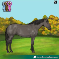 Horse Color:Smoky Grullo