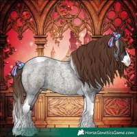 Horse Color:Midnight Bay Ice Roan Dun Splash Tobiano Appaloosa Rabicano 
