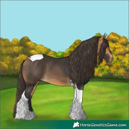 Horse Color:Buckskin Tobiano 