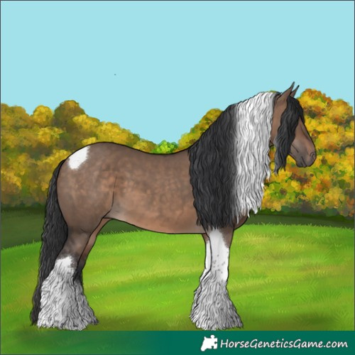 Horse Color:Brown Dun Tobiano