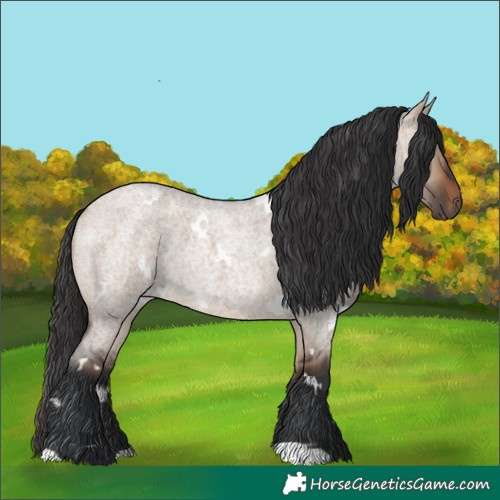 Horse Color:White Spotted Brown Roan Dun 