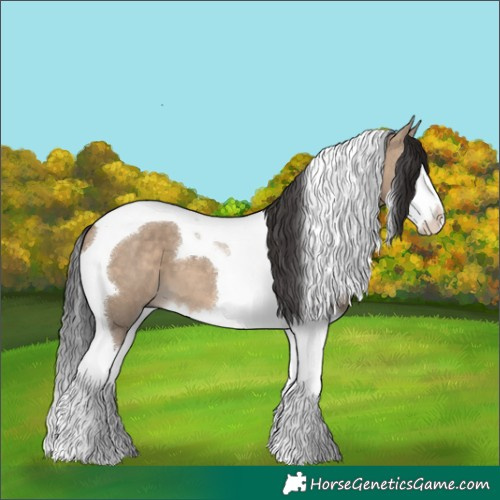 Horse Color:Brown Dun Splash Tobiano 