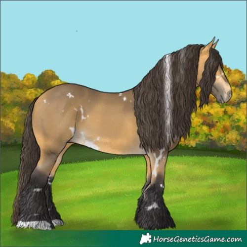 Horse Color:White Spotted Buckskin
