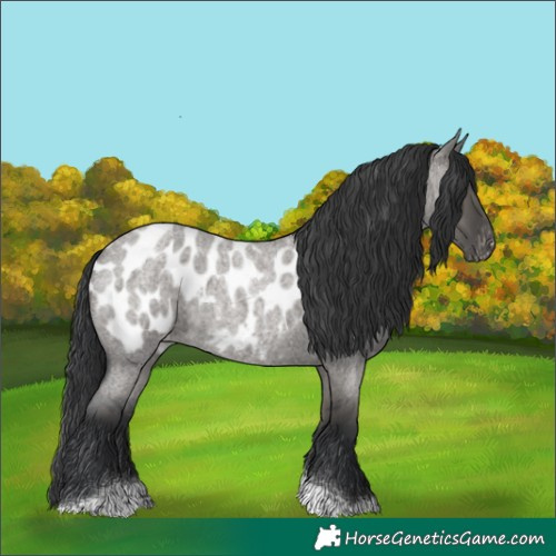 Horse Color:Grullo Roan Tobiano Blanket 