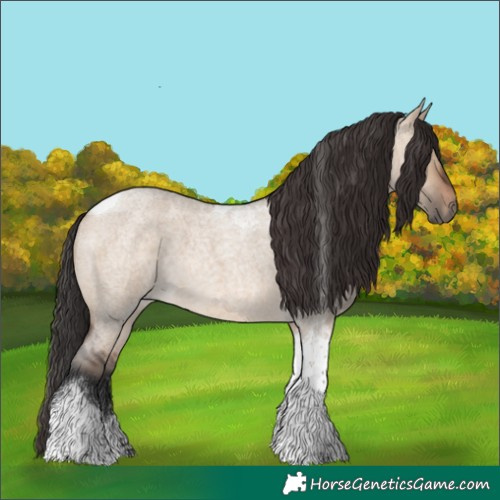 Horse Color:Brown Roan Dun Tobiano 