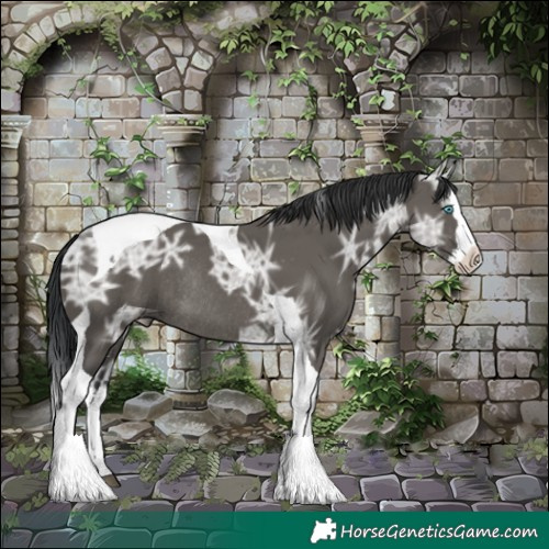 Horse Color:Grullo Ice Splash Tobiano Rabicano