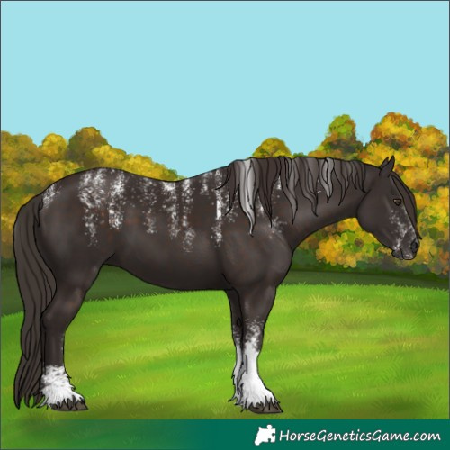 Horse Color:Powder White Liver Chestnut
