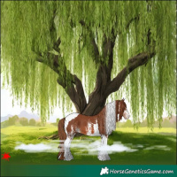 Horse Color:White Spotted Chestnut Tobiano Varnish 