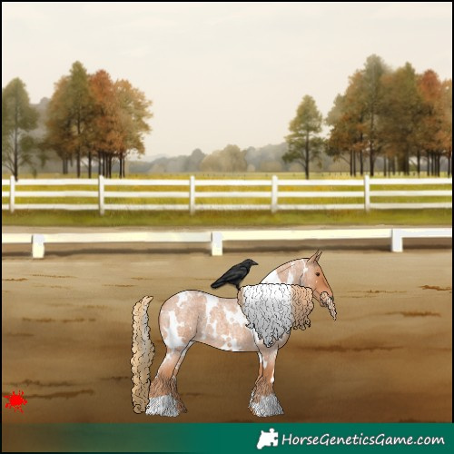 Horse Color:White Spotted Red Roan 