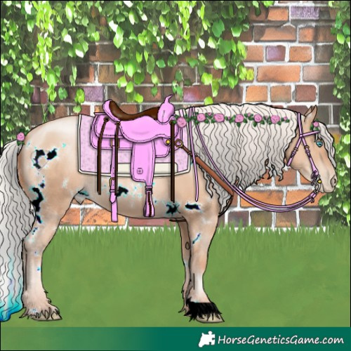 Horse Color:White Spotted Silver Classic Champagne Pearl 