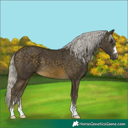 Horse Color:Silver Buckskin Mushroom 