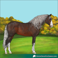 Horse Color:Silver Brown Mushroom