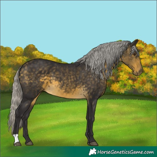 Horse Color:Silver Buckskin Mushroom