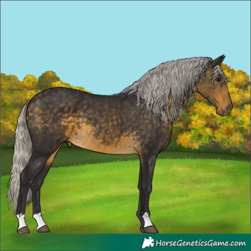 Horse Color:Silver Buckskin 
