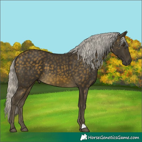 Horse Color:Silver Buckskin Mushroom 