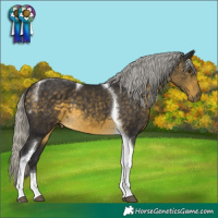 Horse Color:Silver Buckskin Mushroom Tobiano